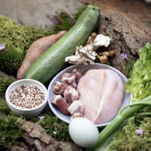 Masterclass: Zelf koken voor je hond